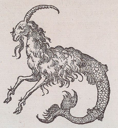 Capricorn