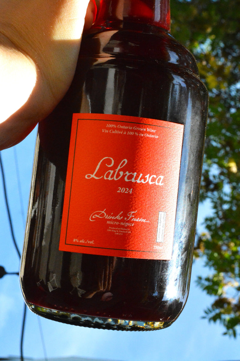 ‘Labrusca’